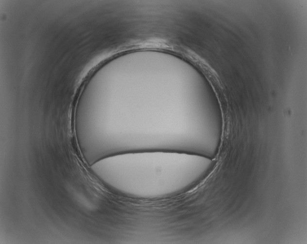 X0000085211174200703090821