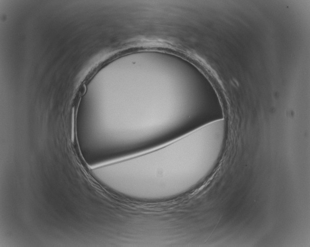 X0000085211175200703090821