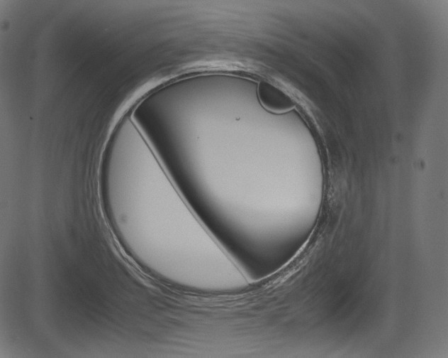 X0000085211179200703090821