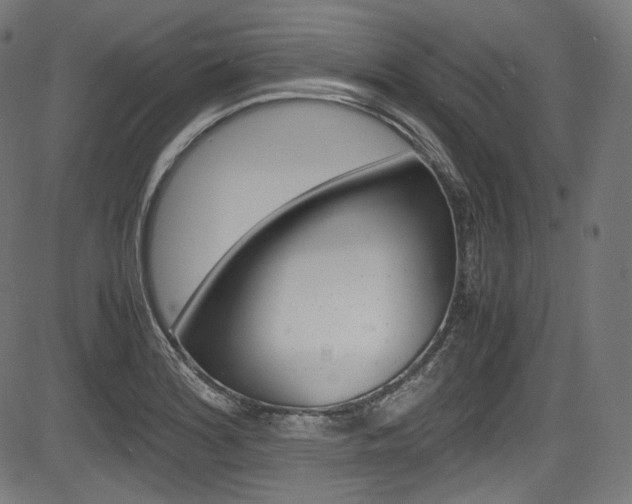 X0000085211180200703090821