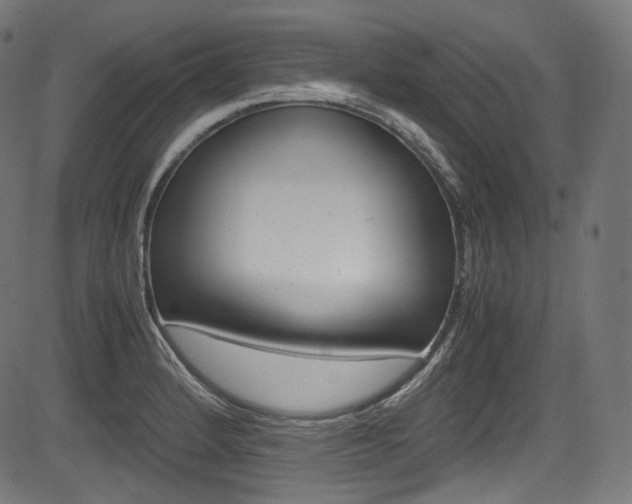 X0000085211184200703090821