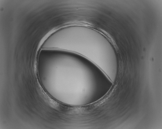 X0000085211188200703090821