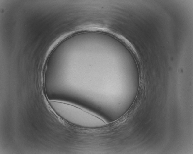 X0000085211191200703090821