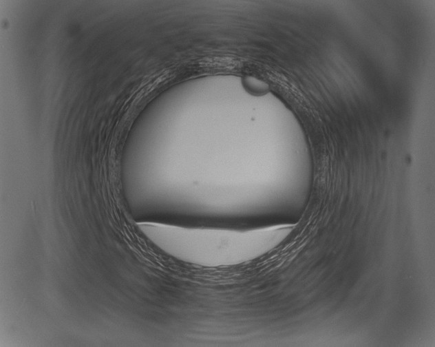 X0000085211201200703090820