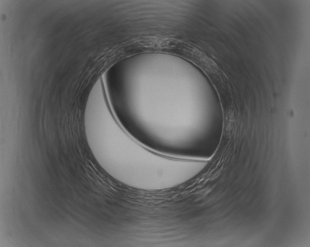 X0000085211202200703090820