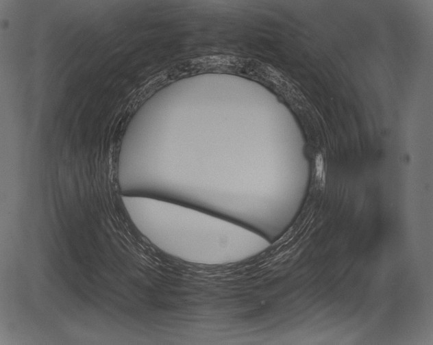 X0000085211203200703090820
