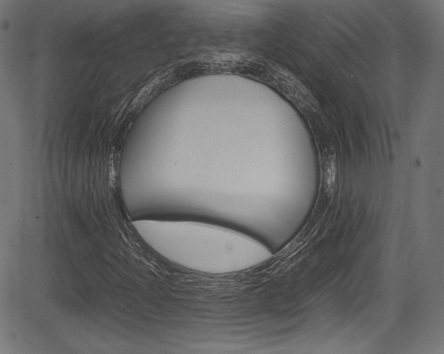 X0000085211204200703090820