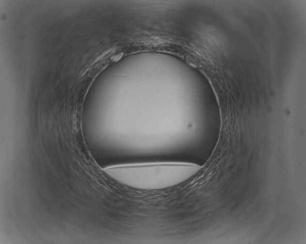 X0000085211205200703090820