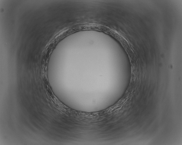 X0000085211207200703090820