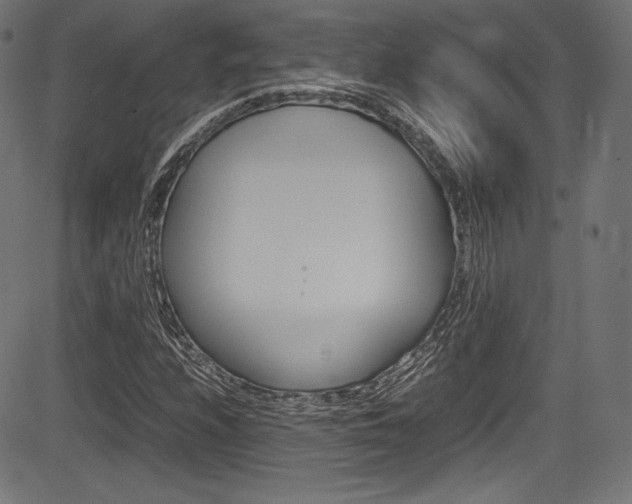 X0000085211208200703090820