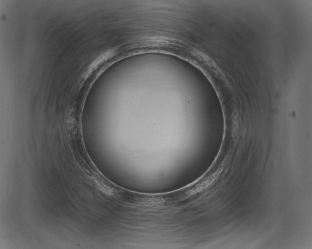 X0000085211210200703090820