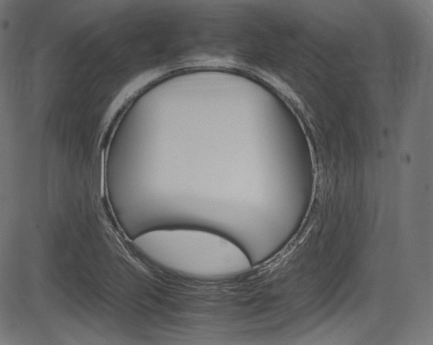 X0000085211223200703090820