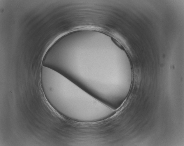 X0000085211244200703090821