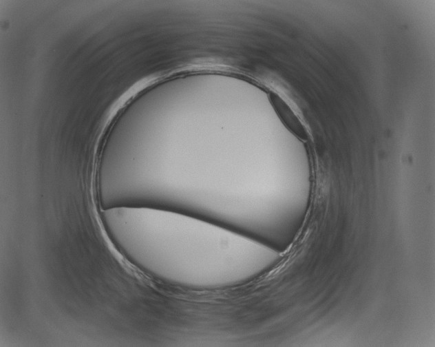 X0000085211245200703090821