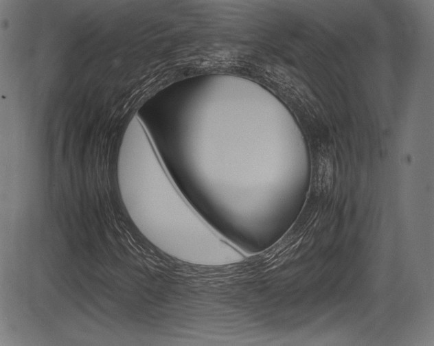 X0000085211250200703090820