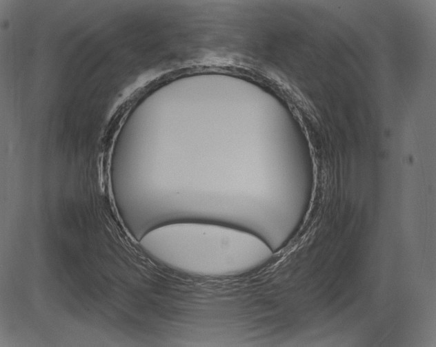 X0000085211262200703090820