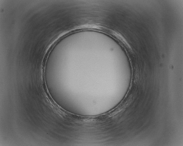 X0000085211268200703090820