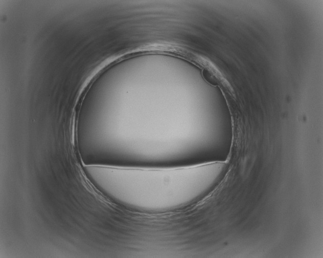 X0000085211276200703090819