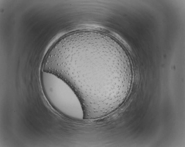 X0000085211283200703090819