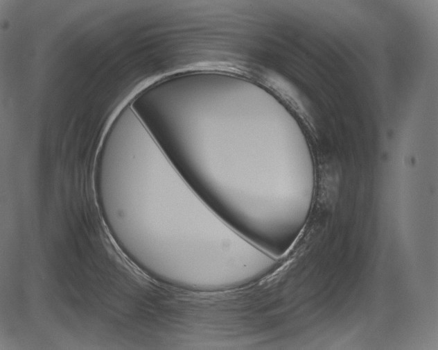 X0000085211284200703090819