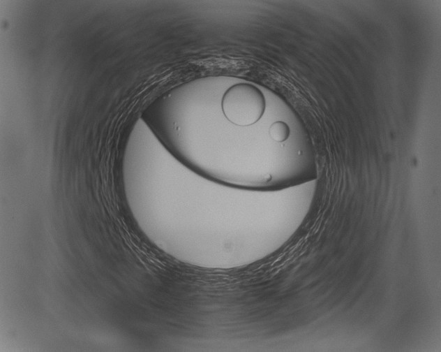 X0000085211297200703090818