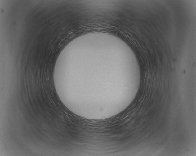 X0000085211298200703090818