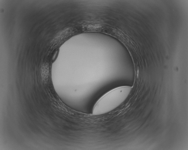 X0000085211299200703090818
