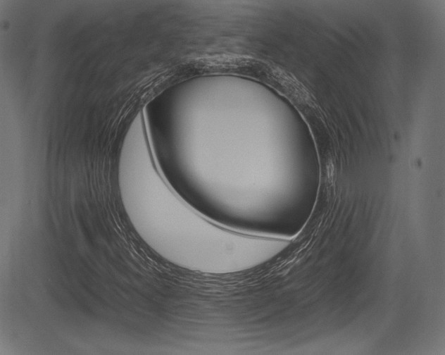 X0000085211300200703090818