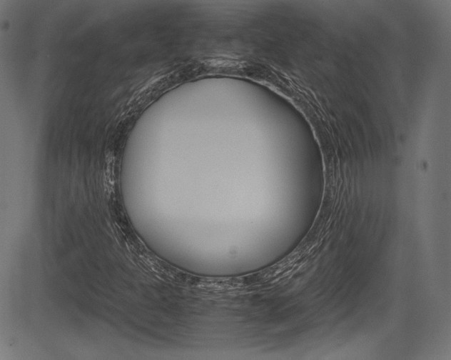 X0000085211301200703090818