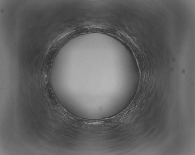 X0000085211303200703090818