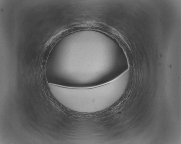 X0000085211304200703090818