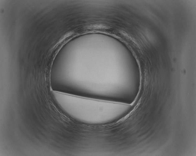 X0000085211305200703090818