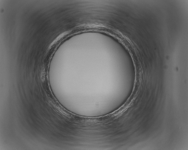 X0000085211306200703090819