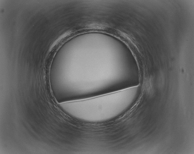 X0000085211307200703090819
