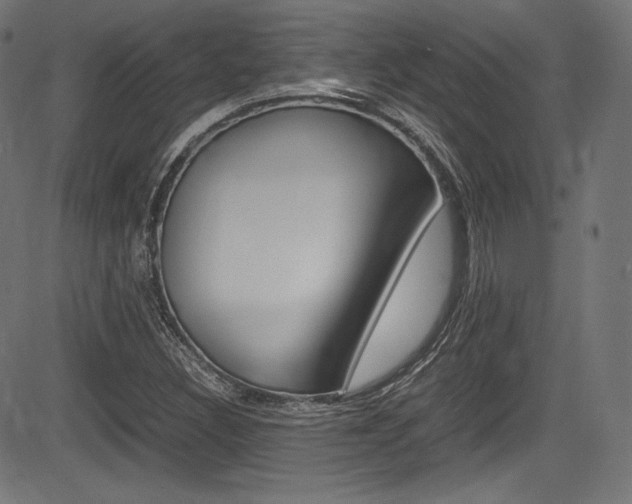 X0000085211308200703090819