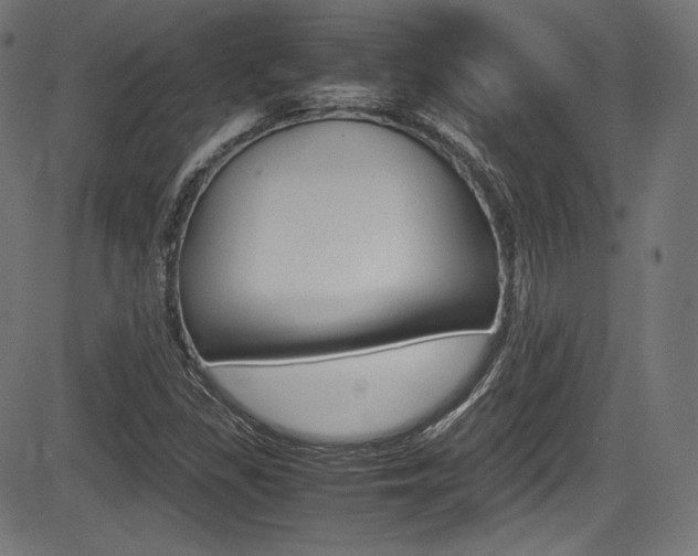 X0000085211309200703090819