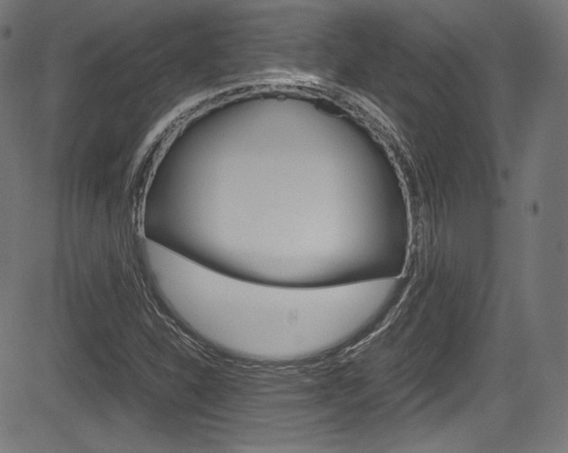 X0000085211310200703090819