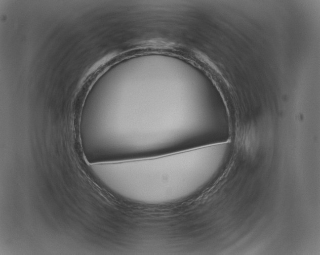 X0000085211315200703090819