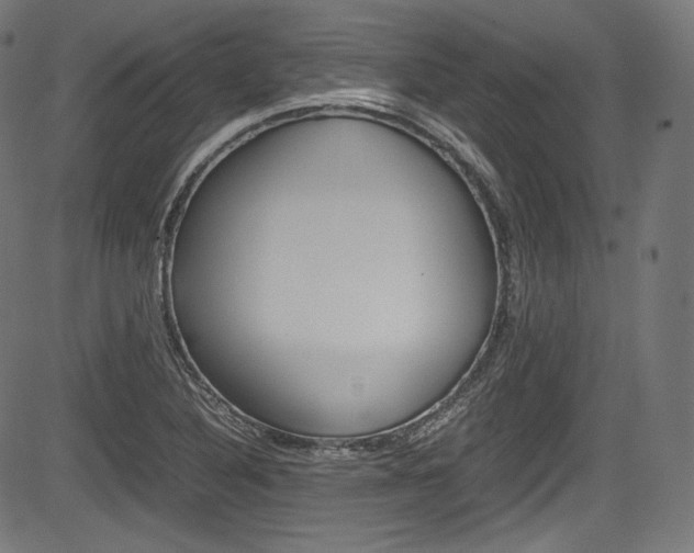 X0000085211316200703090819