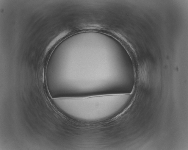 X0000085211317200703090819