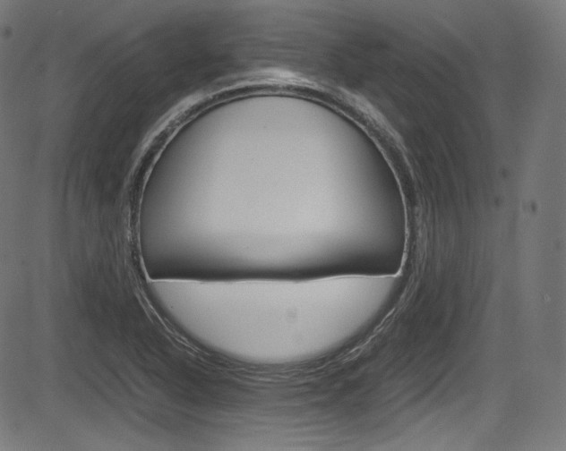 X0000085211318200703090819