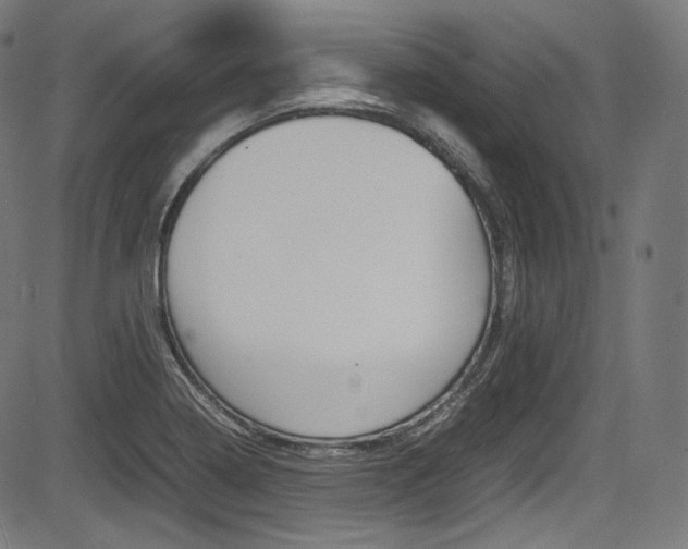 X0000085211322200703090819