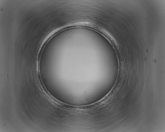 X0000085211324200703090819