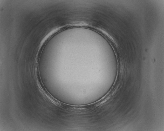 X0000085211325200703090819