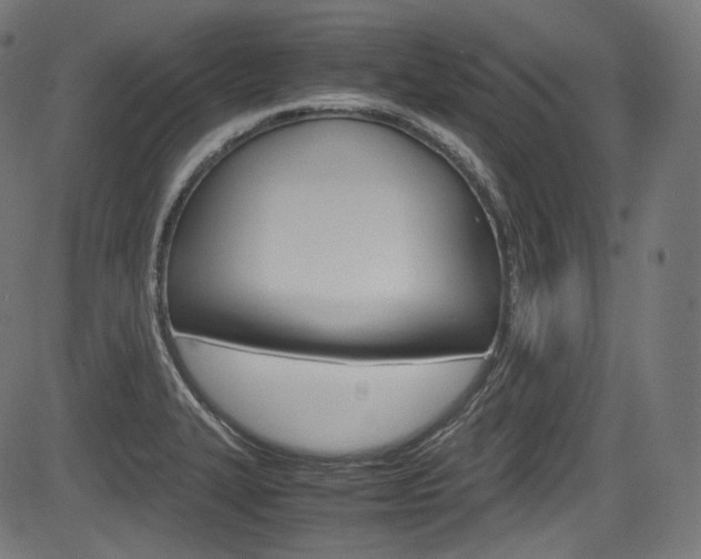 X0000085211327200703090819