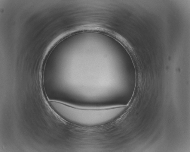 X0000085211334200703090819