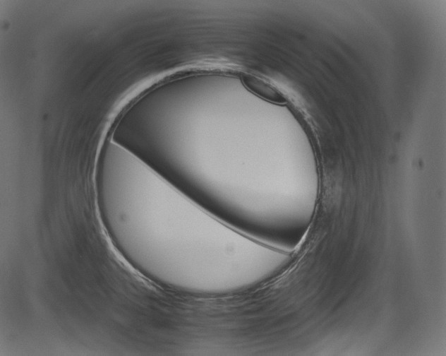 X0000085211335200703090819