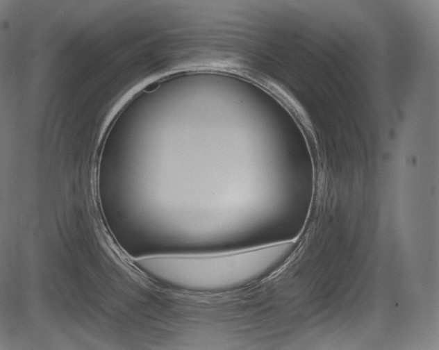 X0000085211340200703090819