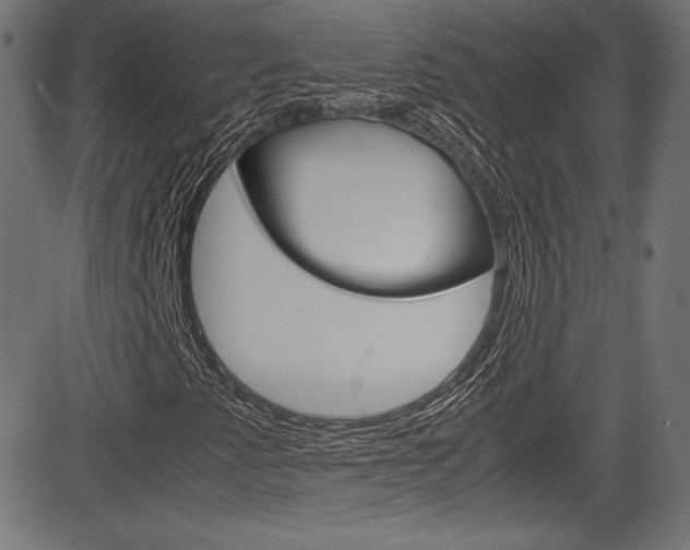 X0000085211345200703090818