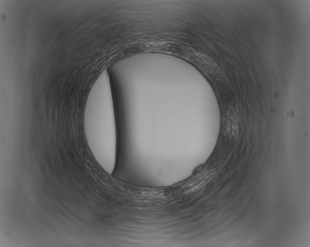 X0000085211346200703090818